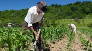 ‘Reforma pode impedir que trabalhadores rurais se aposentem’
