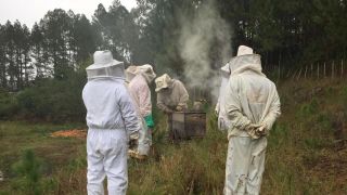 Concluído Curso de apicultura - manejo avançado