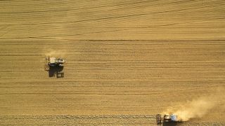 Entenda o que é o glifosato, o agrotóxico mais vendido do mundo