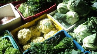 Alimentação escolar em números: 1.958 estudantes da rede municipal recebem alimentação de qualidade com acompanhamento de nutricionista.