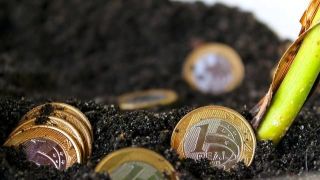 Plano Safra: Dinheiro oficial cobre apenas um terço da agricultura, diz Tereza Cristina