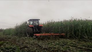 Solo nosso bem mais precioso