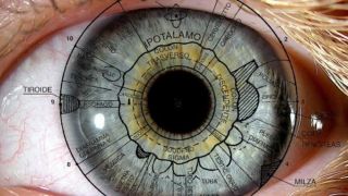 STR traz especialista em Iridologia 