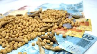 Plano Safra: confira 7 coisas que você precisa saber!
