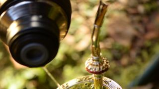 Ciência confirma que beber mate deixa as pessoas mais felizes